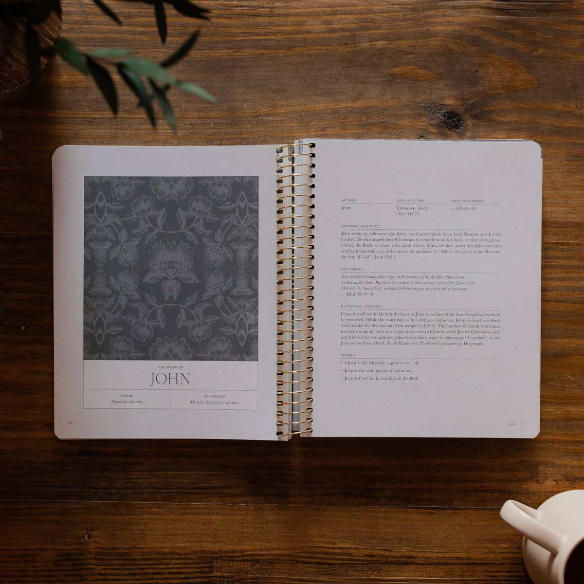 A Year in the Bible | Volume 4