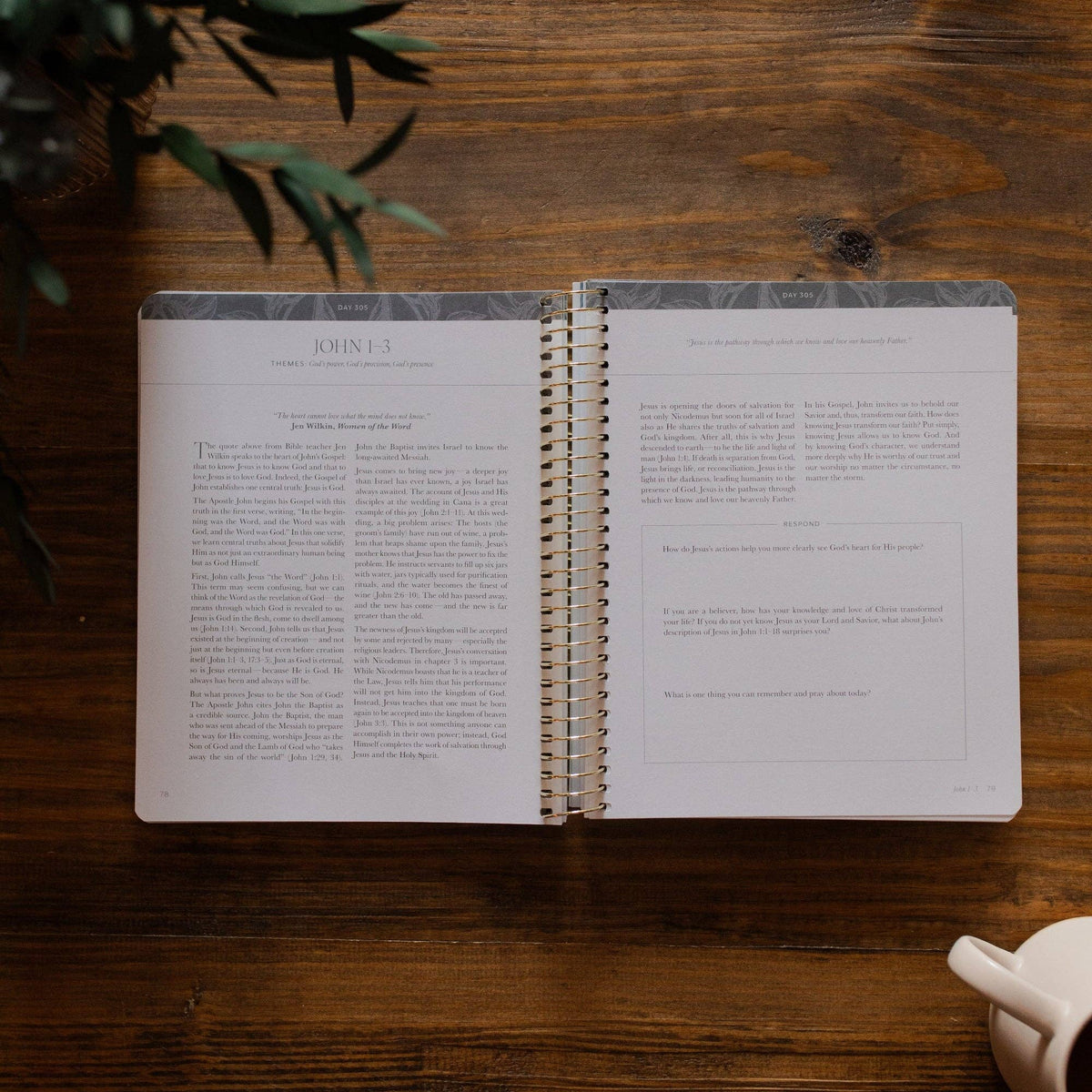 A Year in the Bible | Volume 4