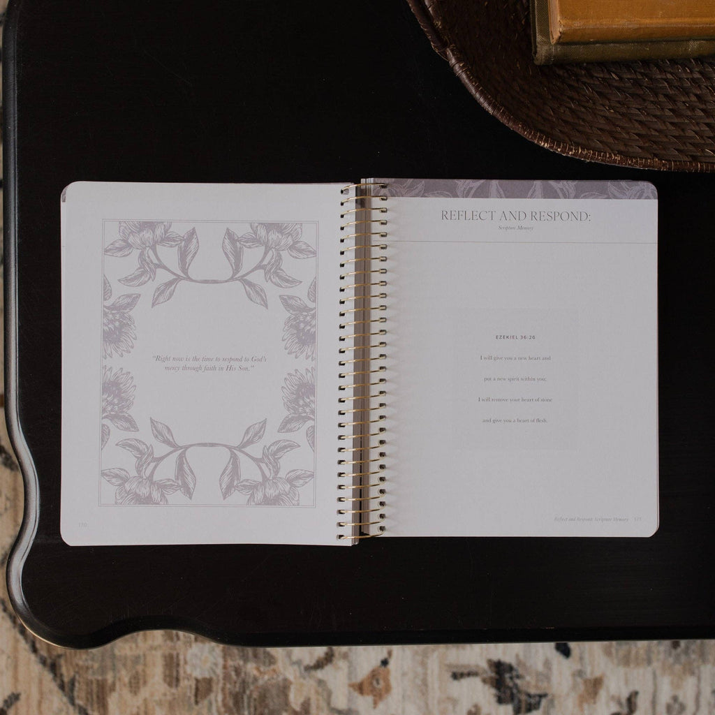 A Year in the Bible | 365 Days of Discovering the Beauty of Jesus from Genesis to Revelation | Volume 3