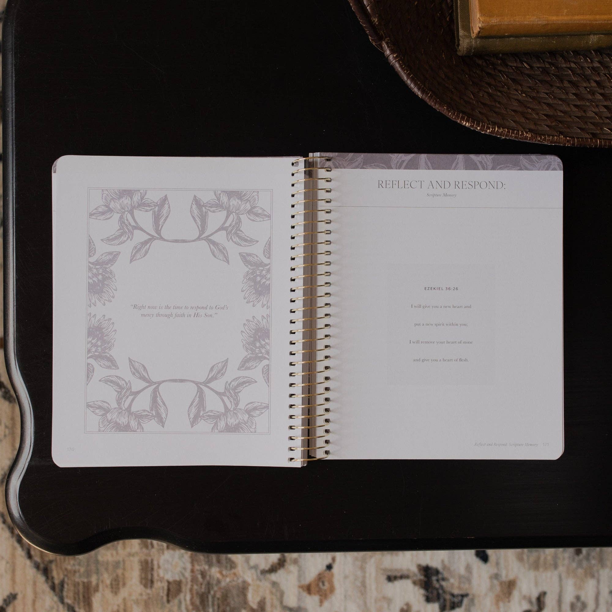 A Year in the Bible | 365 Days of Discovering the Beauty of Jesus from Genesis to Revelation | Volume 3