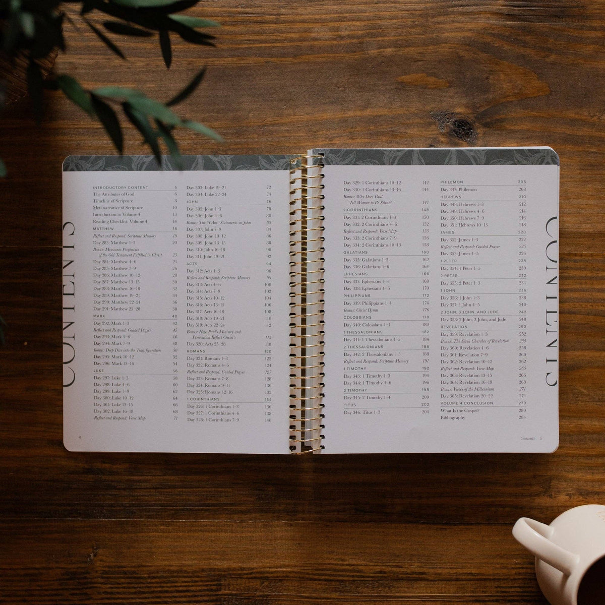 A Year in the Bible | Volume 4