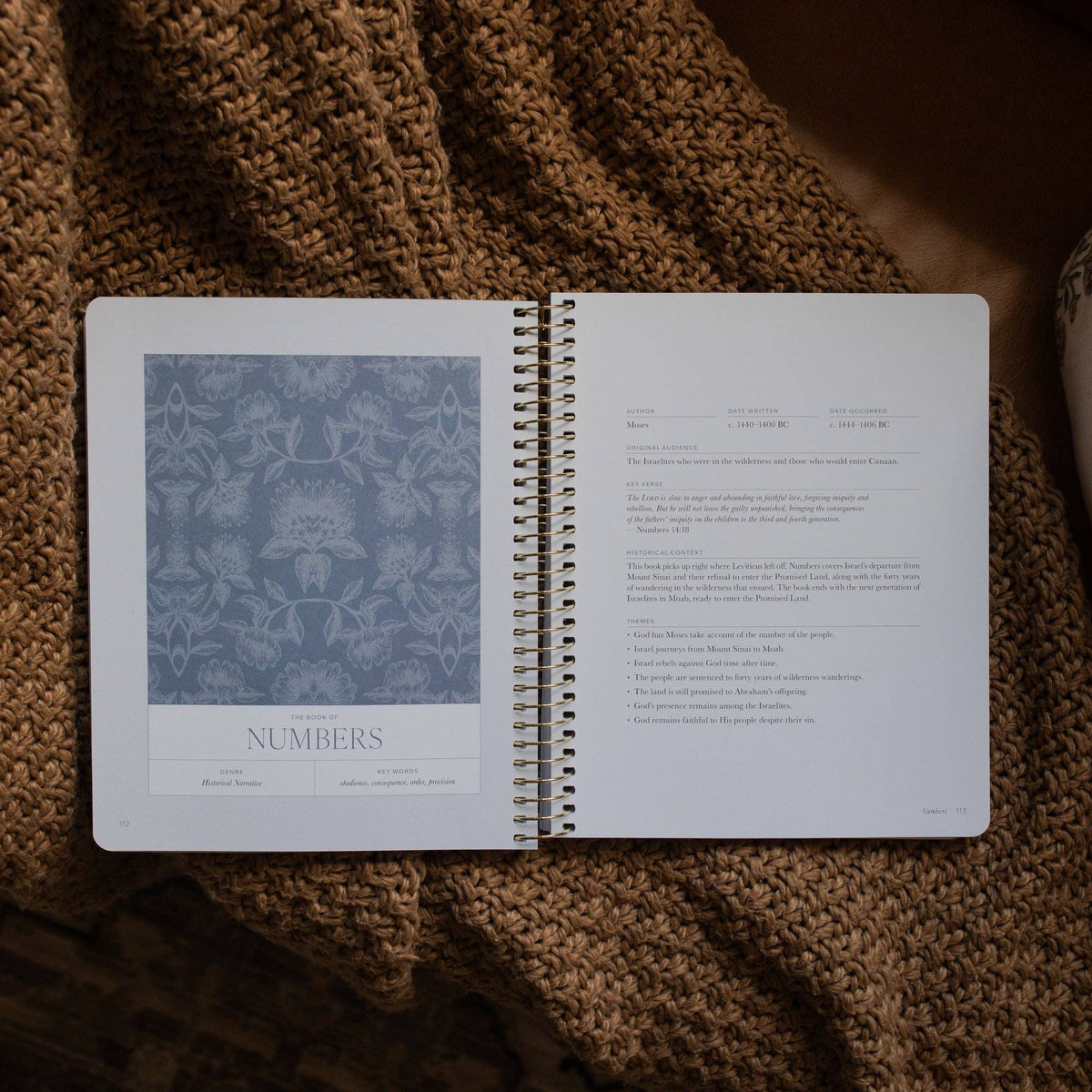 A Year in the Bible | Volume 1