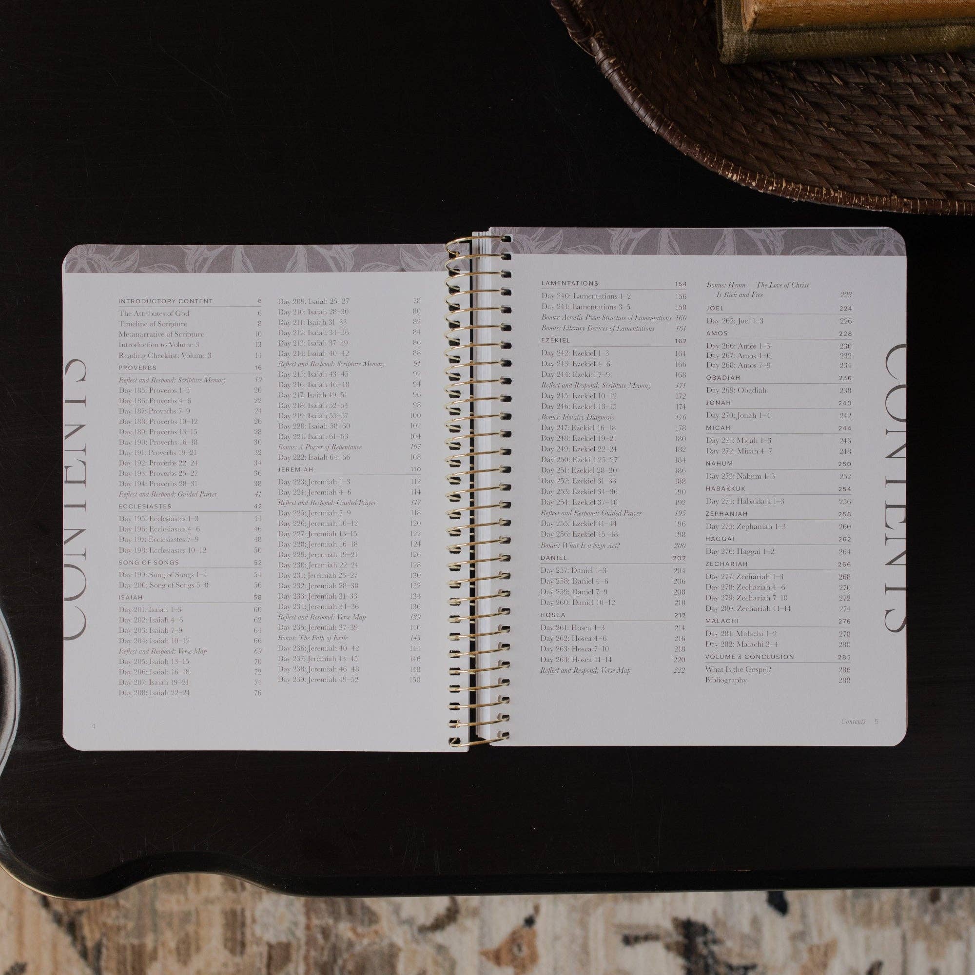 A Year in the Bible | 365 Days of Discovering the Beauty of Jesus from Genesis to Revelation | Volume 3