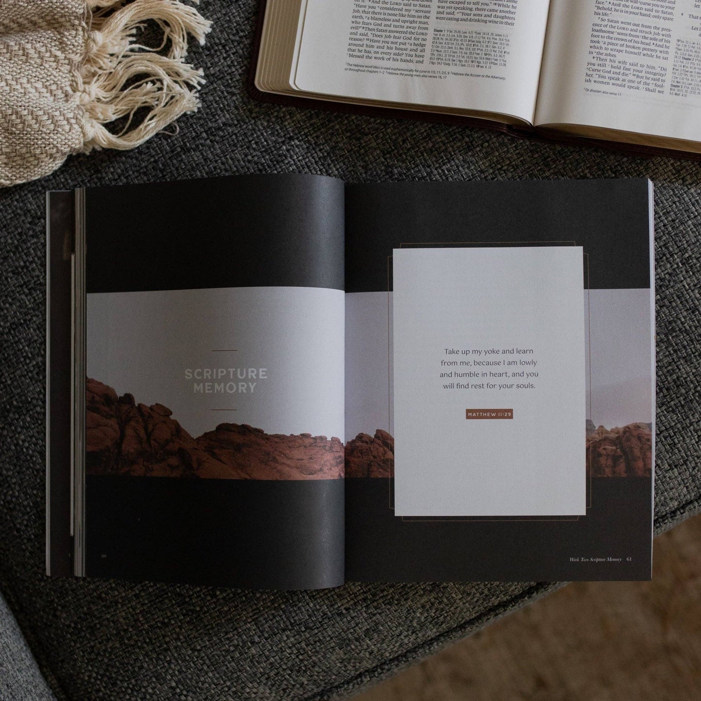 Job Men's Bible Study