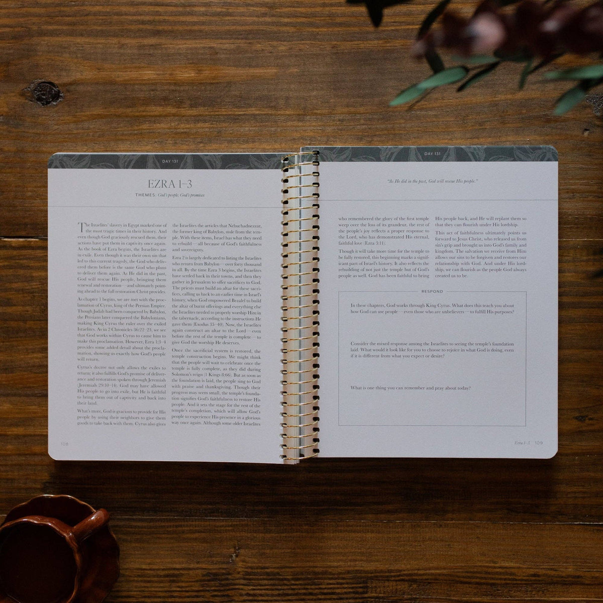 A Year in the Bible | Volume 2
