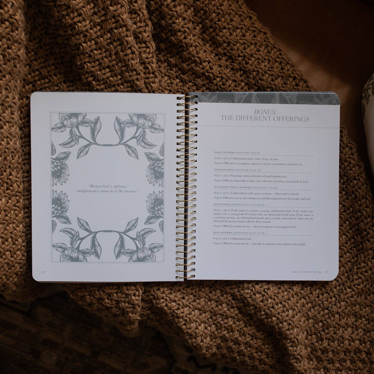 A Year in the Bible | Volume 1