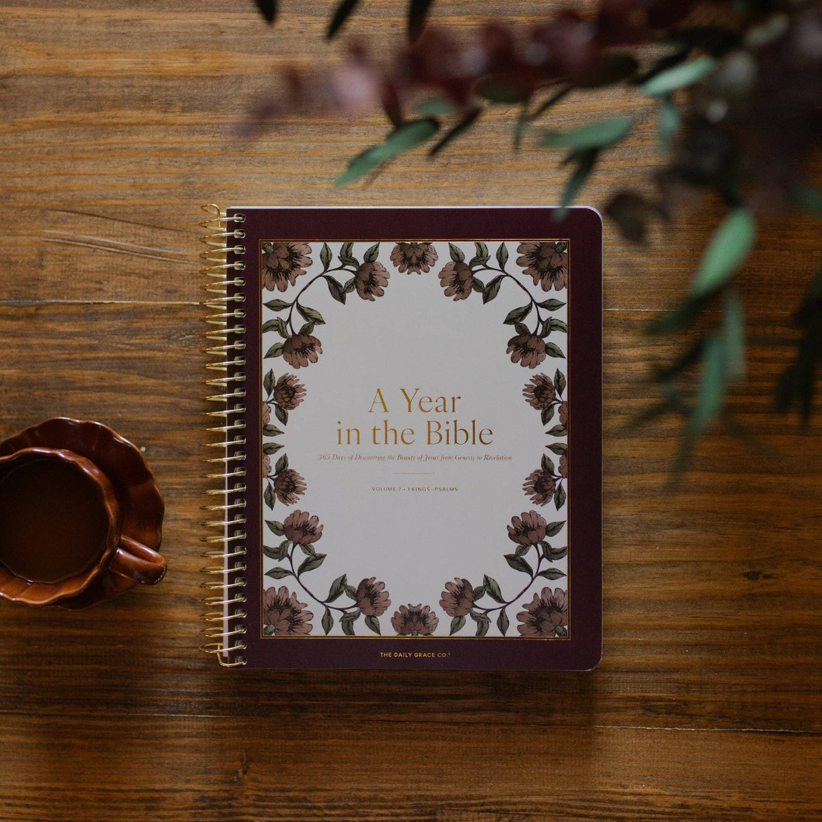 A Year in the Bible | Volume 2
